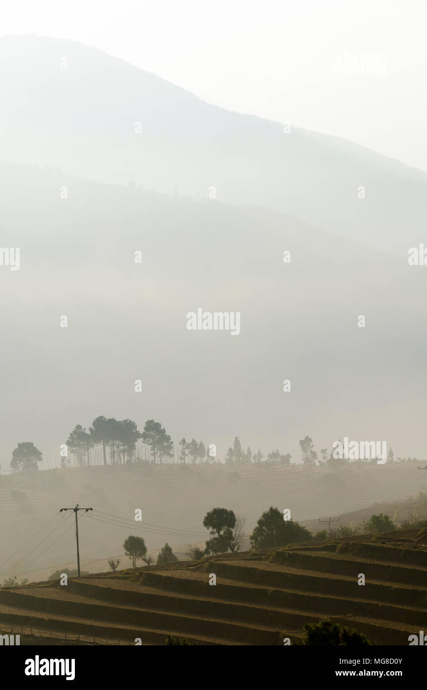Misty Alberi e colline, Punakha, Bhutan Foto Stock