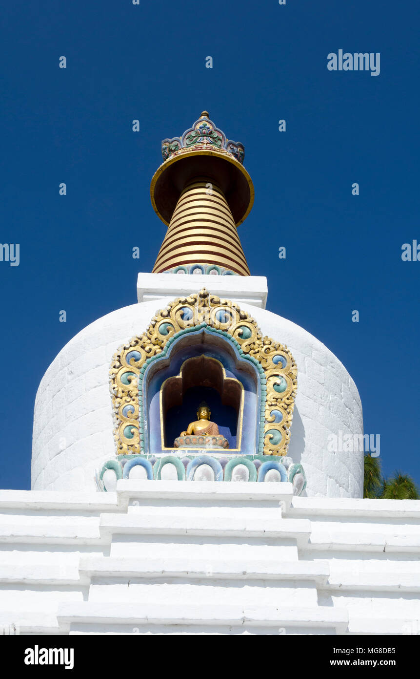 Sangchhen Dorgi Lhuendrup Lhakhang Monastero, Punakha, Bhutan Foto Stock