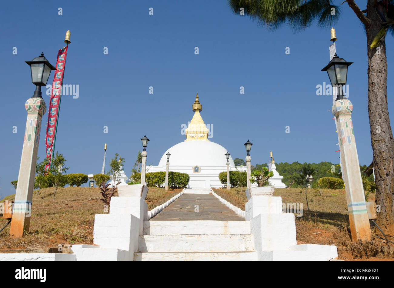 Sangchhen Dorgi Lhuendrup Lhakhang Monastero, Punakha, Bhutan Foto Stock