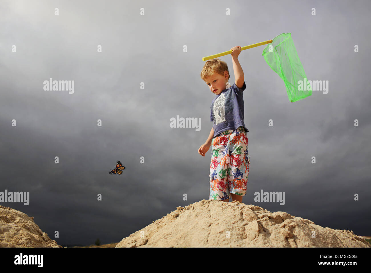Ragazzo giovane la cattura di farfalla in un net Foto Stock