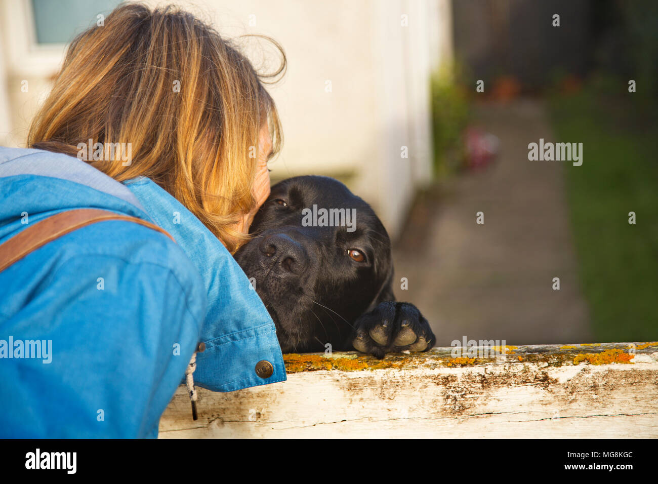 Una signora abbracciando il suo animale domestico Labrador Foto Stock