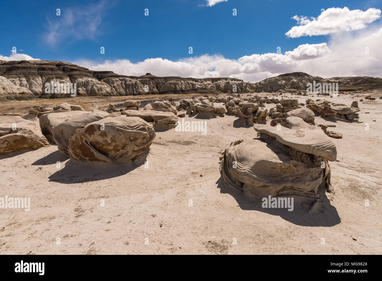 Bisti o De-Na-Zin Wilderness Area o badlands alieni uova formazioni rocciose, New Mexico, USA Foto Stock
