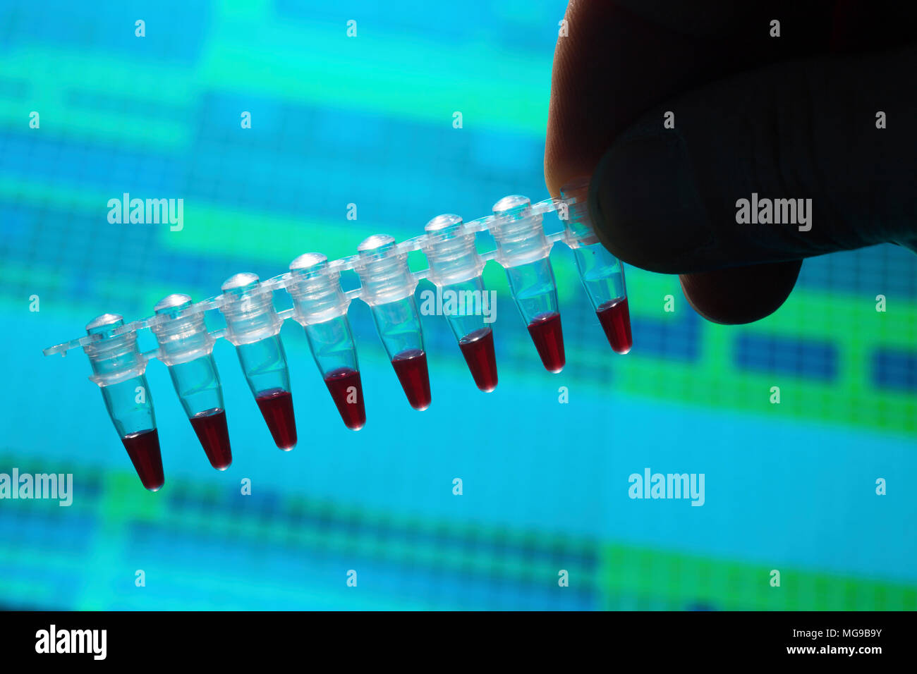 Provette per microcentrifuga con campioni. Foto Stock