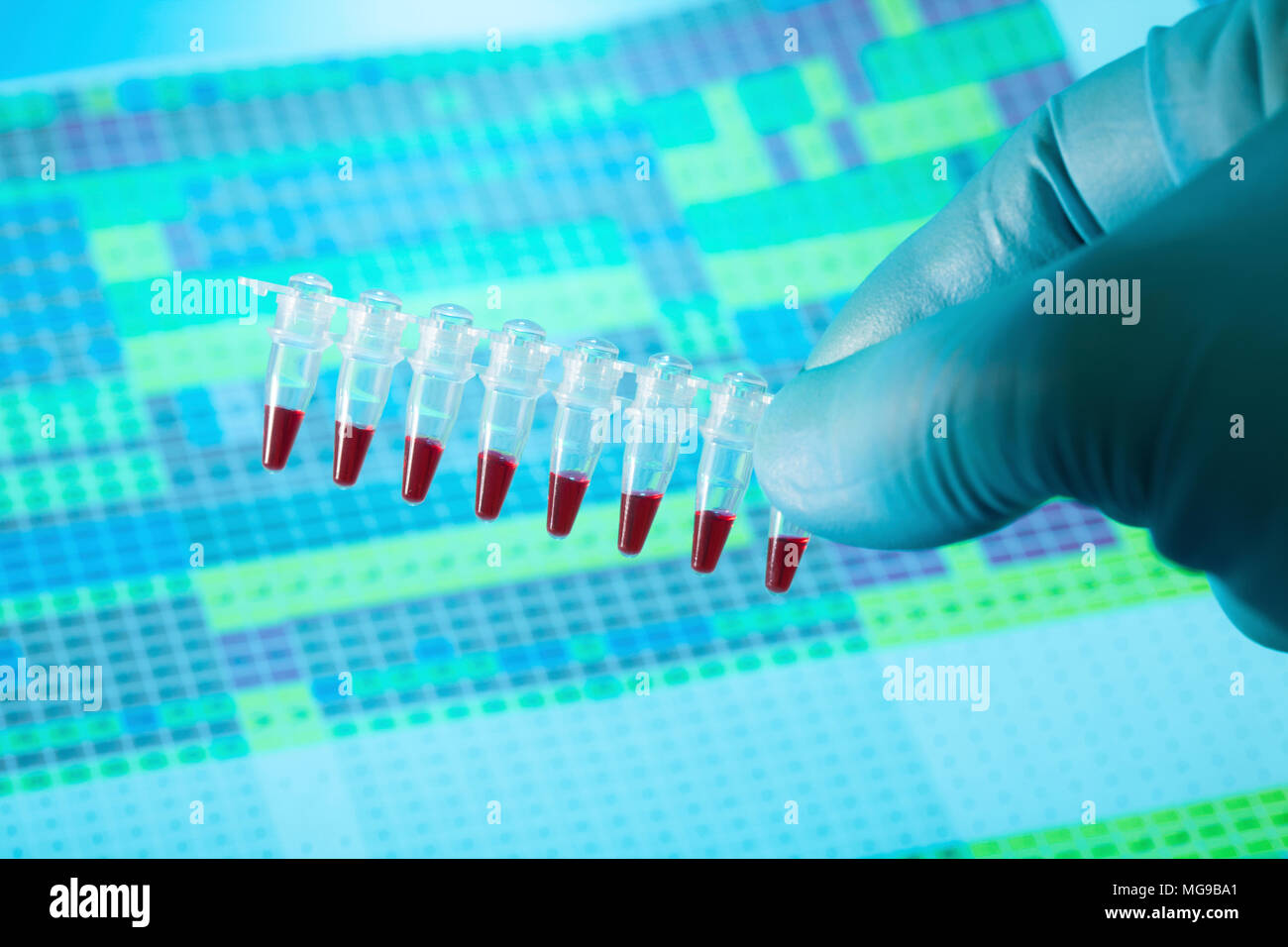 Provette per microcentrifuga con campioni. Foto Stock