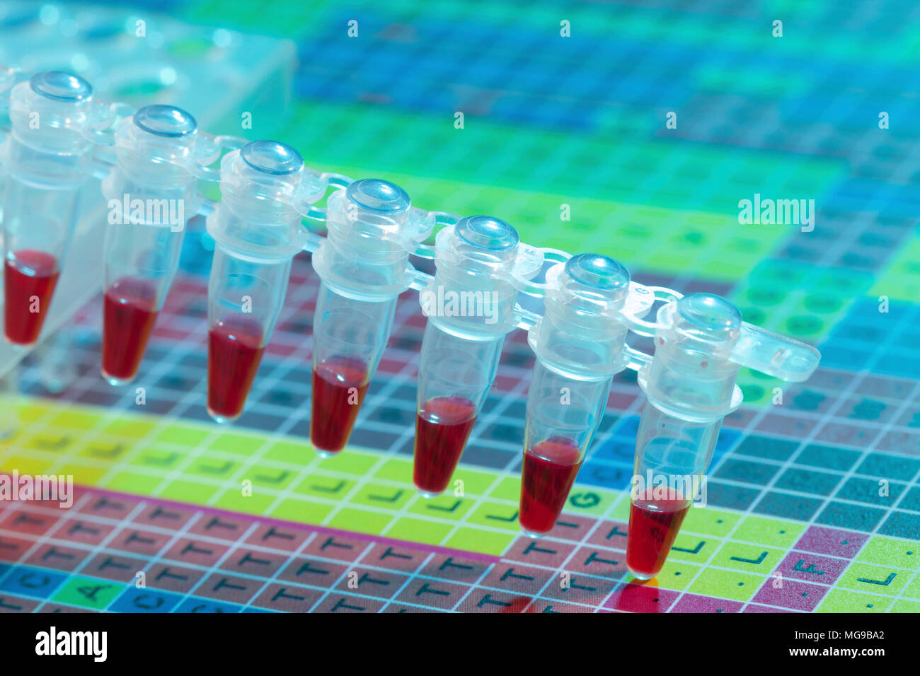 Provette per microcentrifuga con campioni. Foto Stock