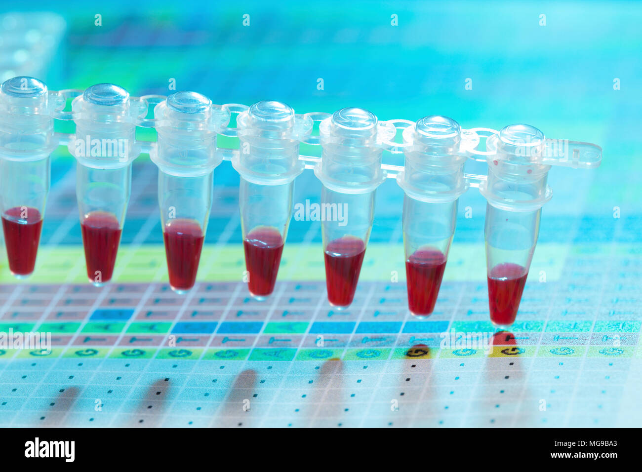 Provette per microcentrifuga con campioni. Foto Stock