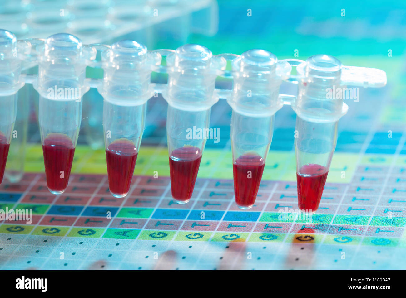 Provette per microcentrifuga con campioni. Foto Stock
