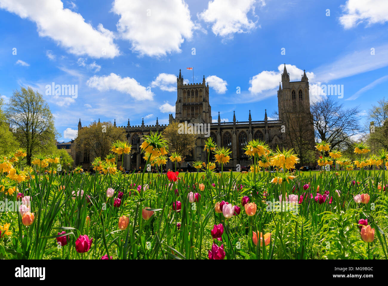 Fioritura primaverile di fronte alla Cattedrale di Bristol. Fiori in primo piano ela cattedrale nel retro di massa. Blu cielo con soffici nuvole bianche. Foto Stock