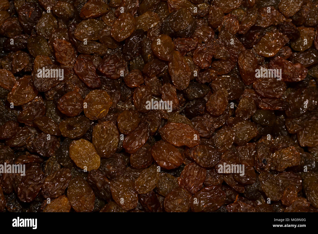 Sfondo solido - sun miele selvatico-marrone di uvetta closeup Foto Stock