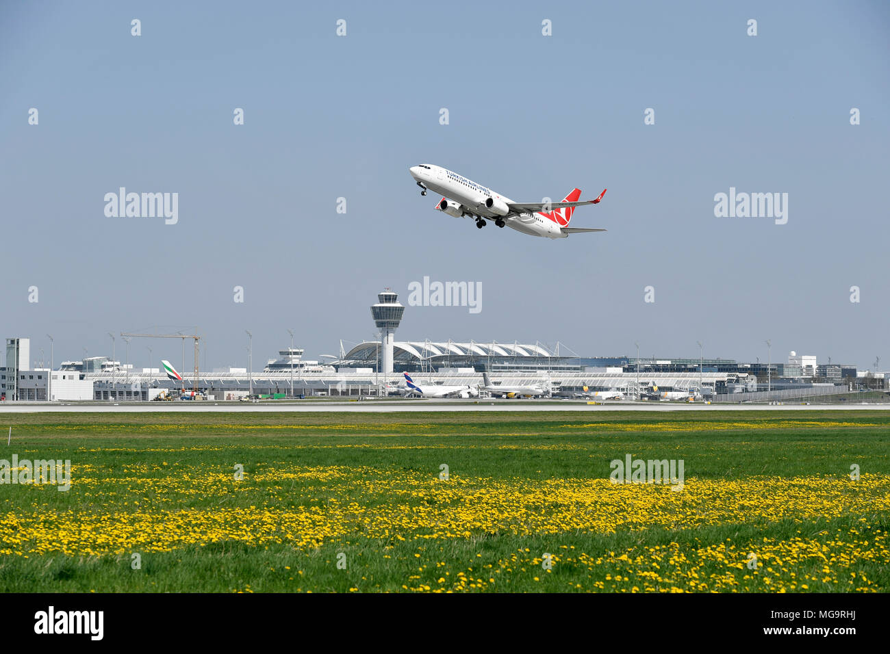 La Turkish Airlines, B 737, B737-800: 800, aeromobili, aereo, piano, panoramica, vista Panorama, fiore, alghe, erba, Start, di prendere, Aeroporto di Monaco di Baviera, Foto Stock