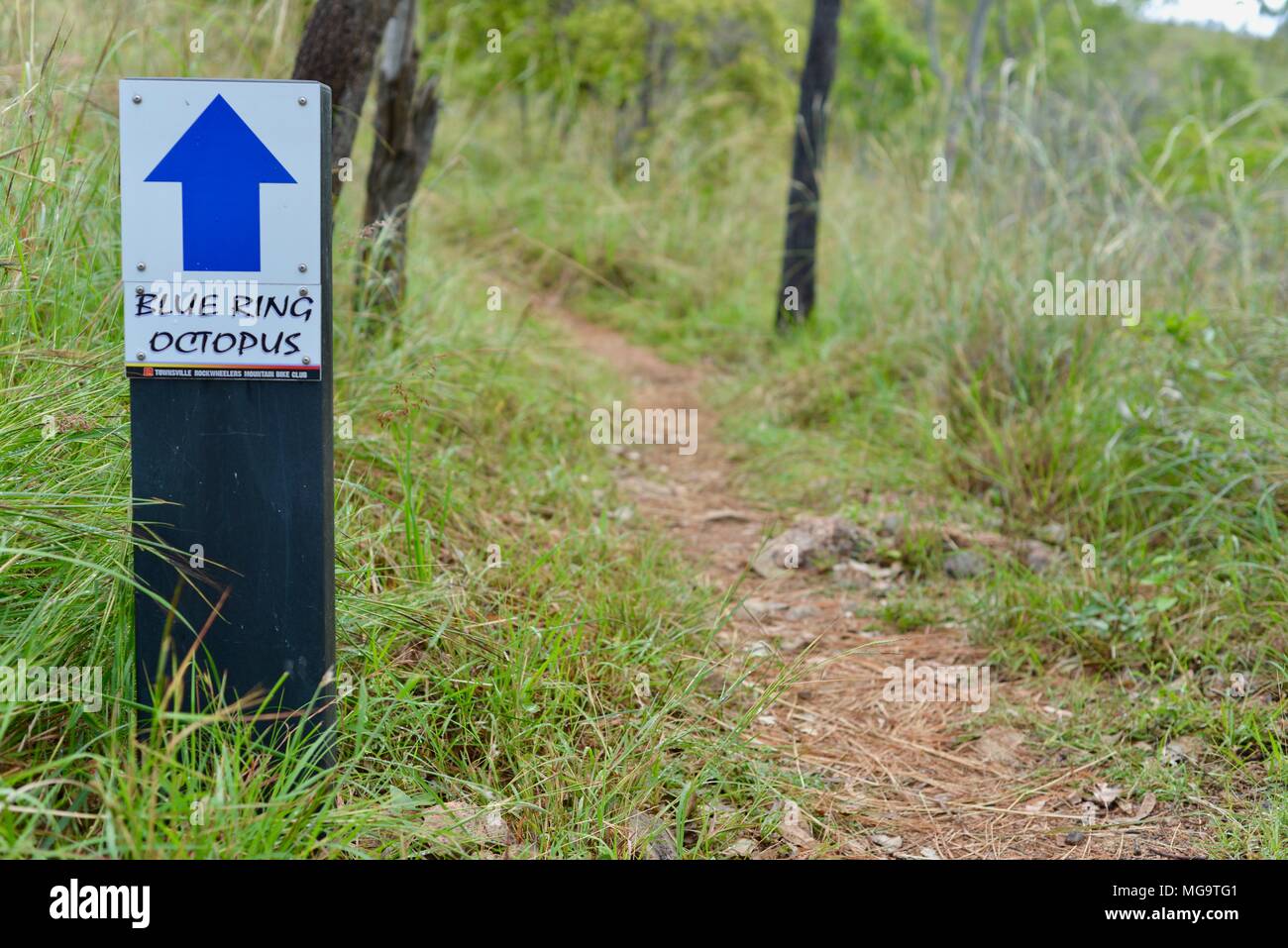 Anello blu octopus mountain bike trail segno, Mount Stuart sentieri escursionistici, Townsville, Queensland, Australia Foto Stock