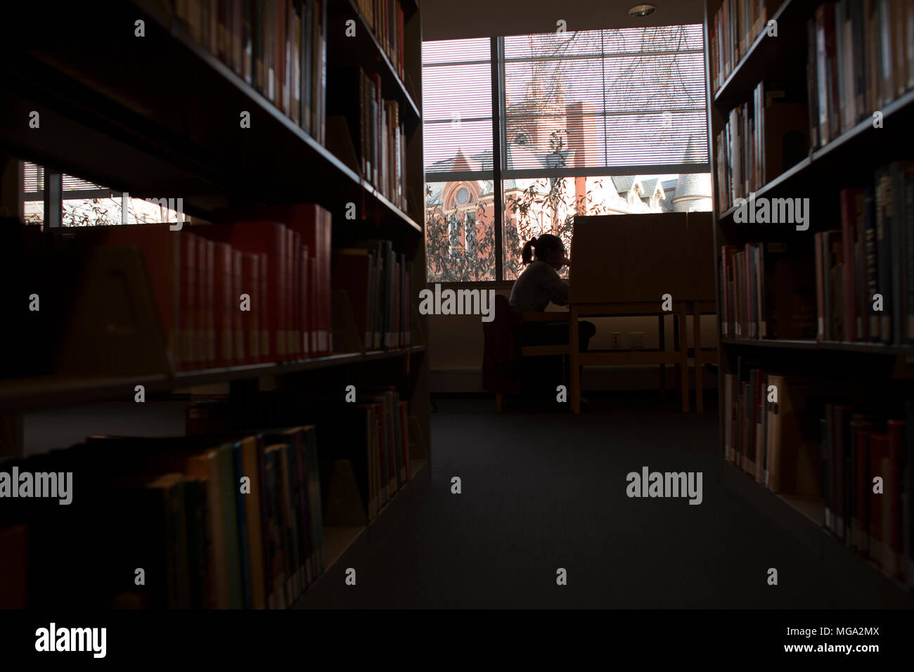 All'interno della biblioteca d'arte di Smith College. Foto Stock
