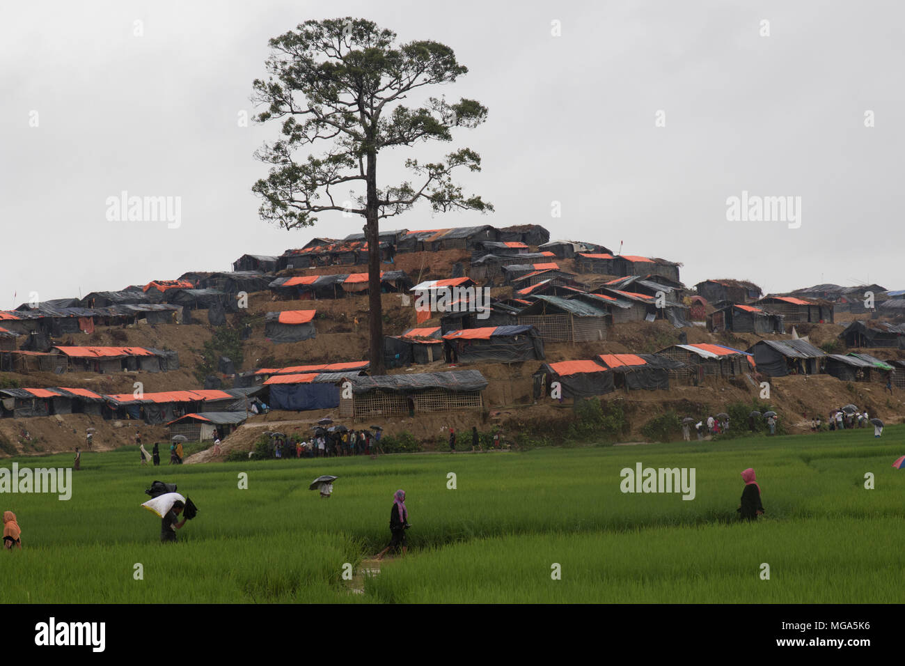 I Rohingya crisi di rifugiati in Bangladesh Foto Stock