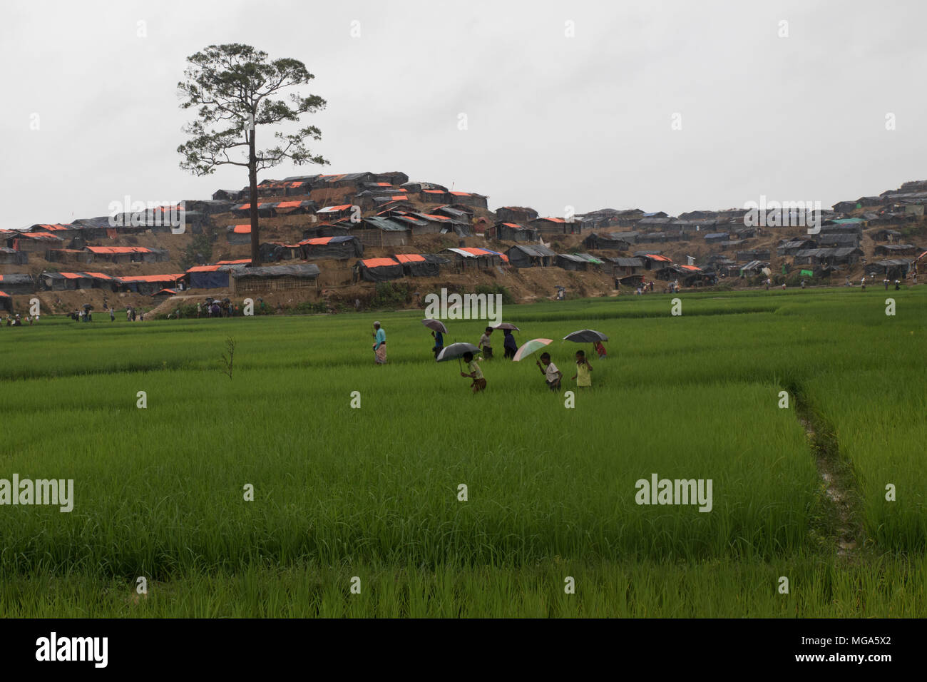 I Rohingya crisi di rifugiati in Bangladesh Foto Stock