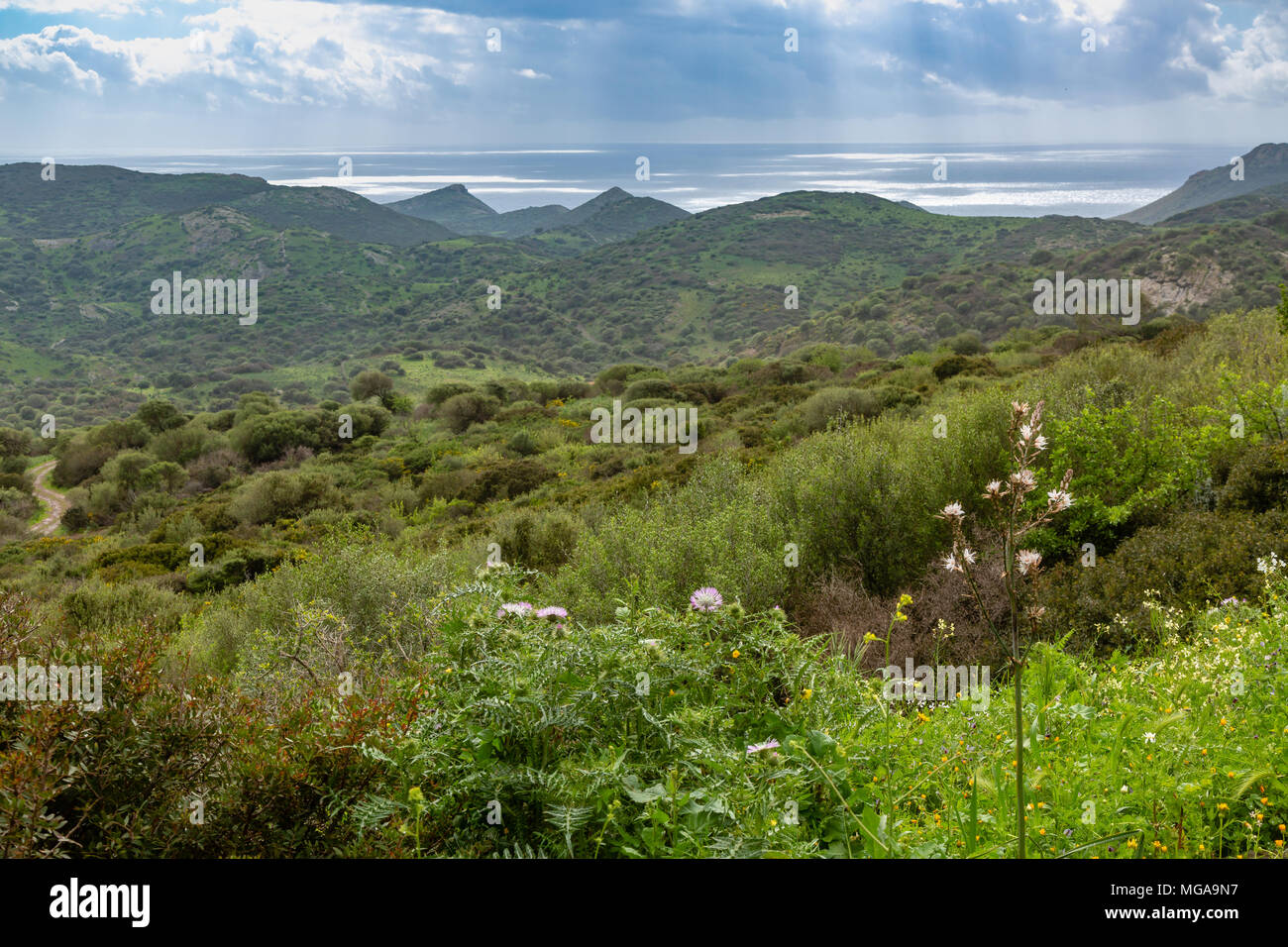 La molla atmosfera della costa nord-occidentale della Sardegna, Italia Foto Stock