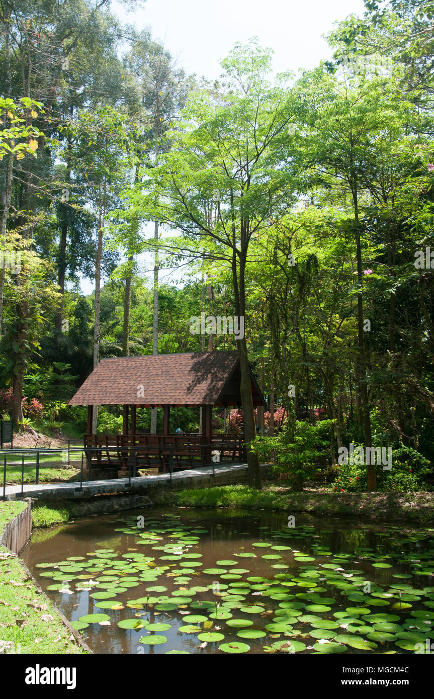 Come un campo di prigionia, Sandakan Memorial Park assistito alla morte di 2400 Gli australiani e i britannici imprigionato dai giapponesi NELLA SECONDA GUERRA MONDIALE Foto Stock
