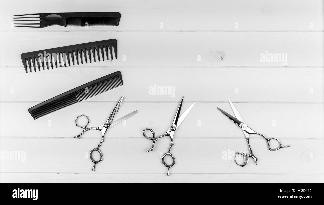 Taglio di capelli professionale pettini e forbici cursore immagine con copia testo area per acconciatura e barbiere salone. Foto Stock