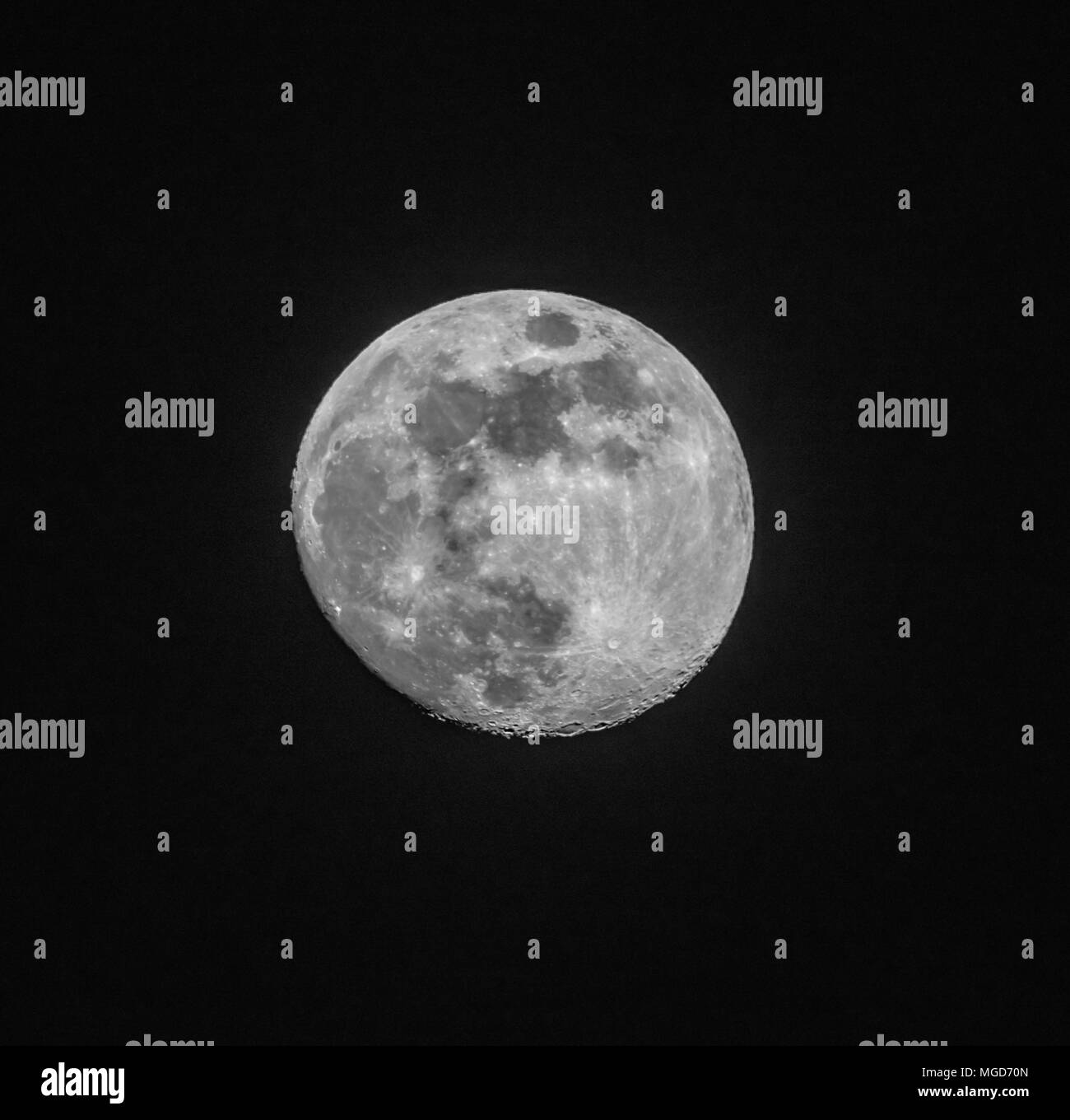 Luna piena fino in prossimità di un nero cielo notturno Foto Stock