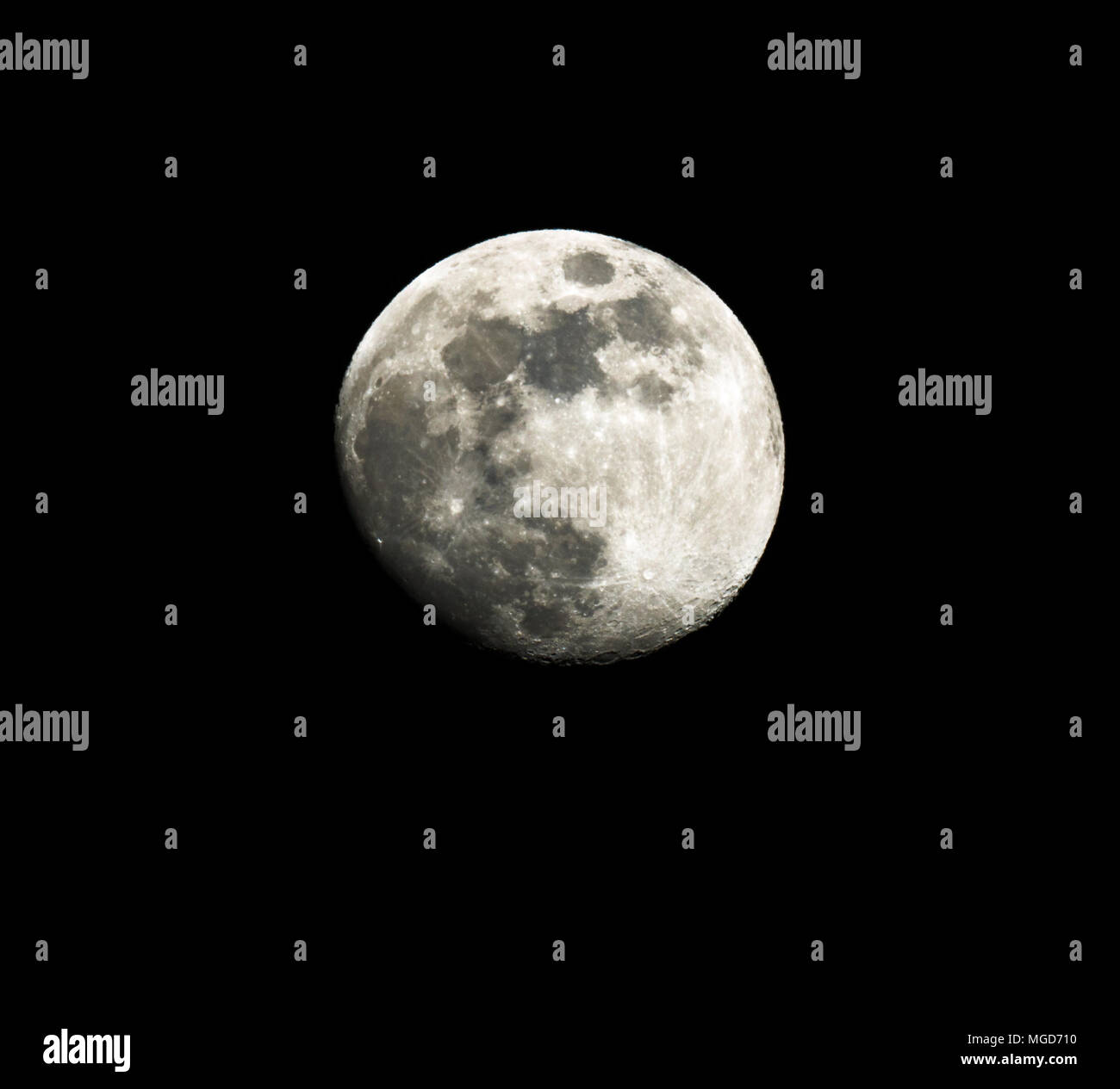 Luna piena fino in prossimità di un nero cielo notturno Foto Stock