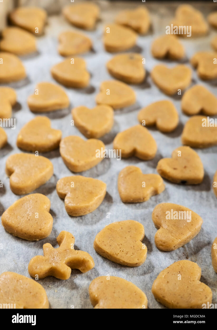 Polacco biscotti di Natale Foto Stock