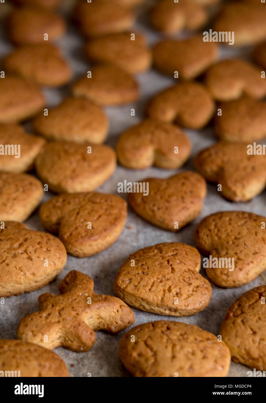 Polacco biscotti di Natale Foto Stock