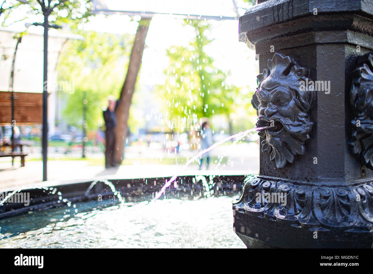 Lion fontana di acqua in un parco. Estate Foto Stock
