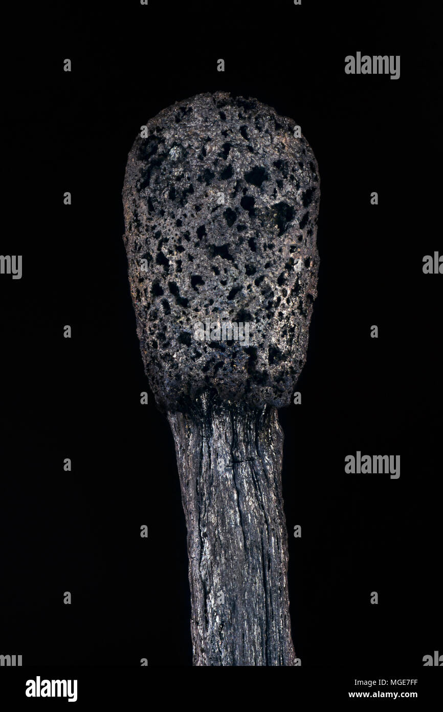 Macro shot di bruciato corrispondono. La fotografia macro Foto Stock