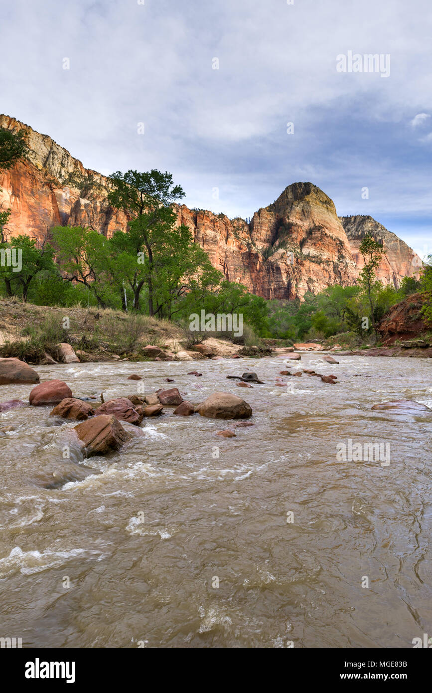 Il fiume vergine come fluisce attraverso il Parco Nazionale di Zion, Utah, Stati Uniti d'America Foto Stock