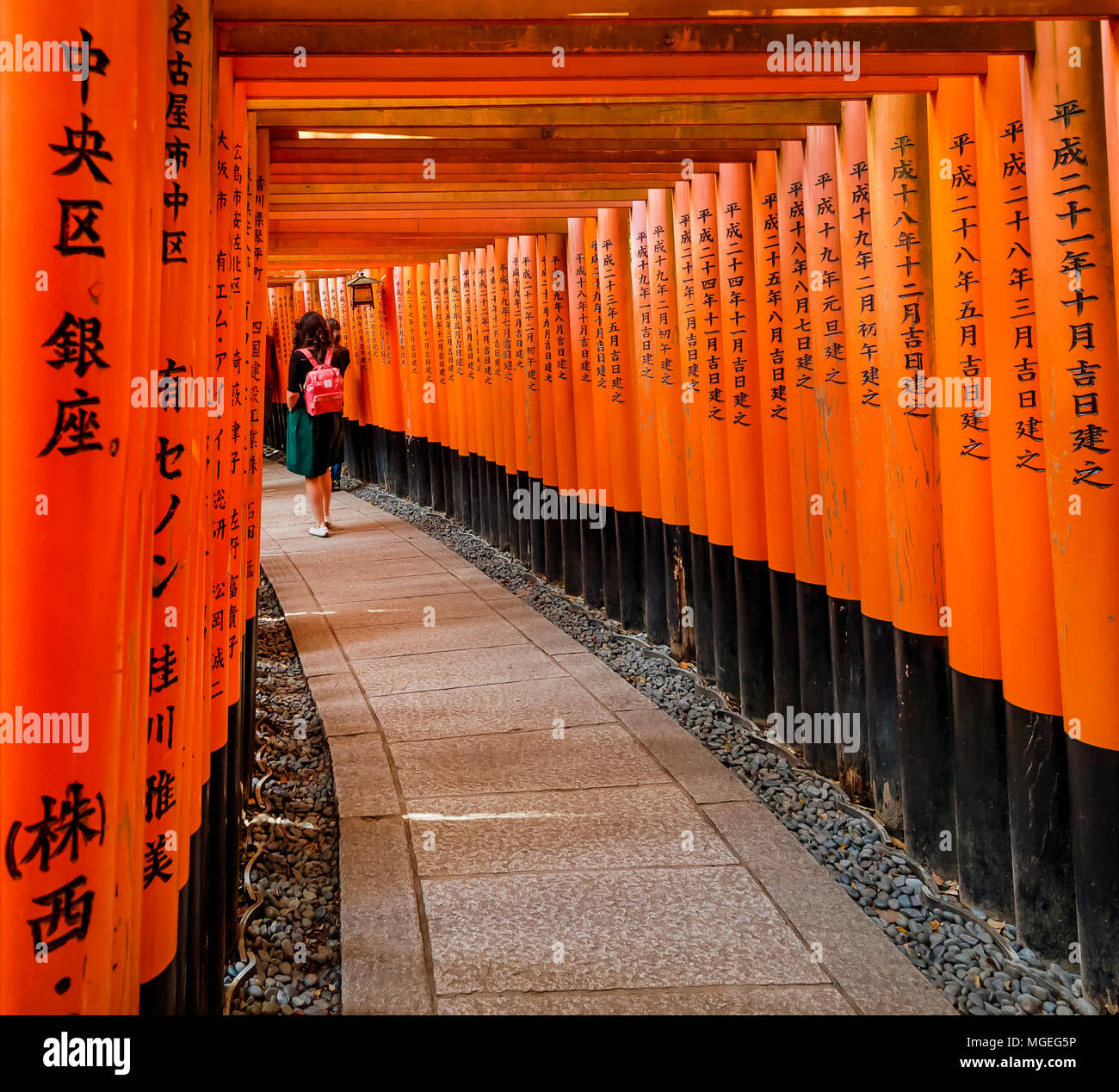 Fila di torii porte in Lo Shinto Fushimi Inari santuario a Kyoto, Giappone Foto Stock