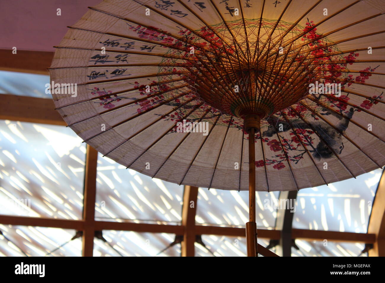 La carta cinese ombrello con decorazioni floreali e ideogrammi Cinesi appesi al muro per formare un tipo di lampada Foto Stock
