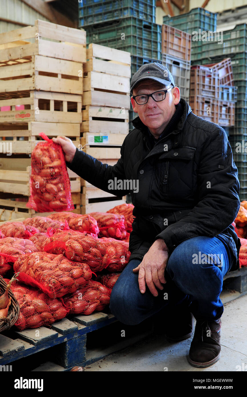 Scalogni francese per la vendita presso La Ferme Des Beaux Bois, un produttore locale nella città di Cherrueix, Bretagna Francia Foto Stock