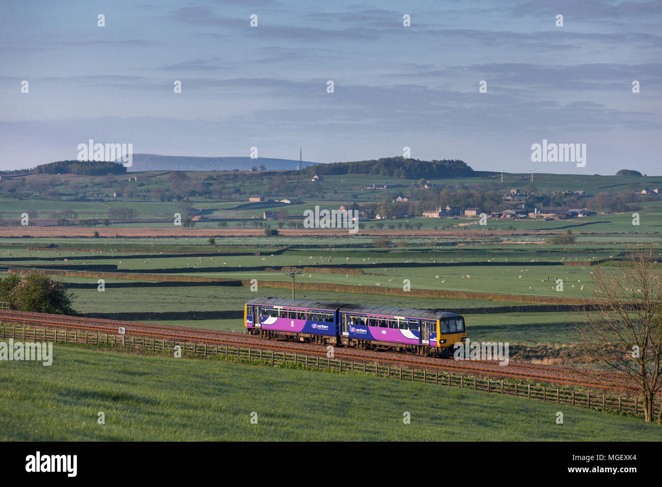 Rampa settentrionale classe 144 treno dello stimolatore a Settle Junction, Yorkshire con un treno voce sulla giunzione di stabilirsi a Canrforth poco a nord della linea occidentale Foto Stock