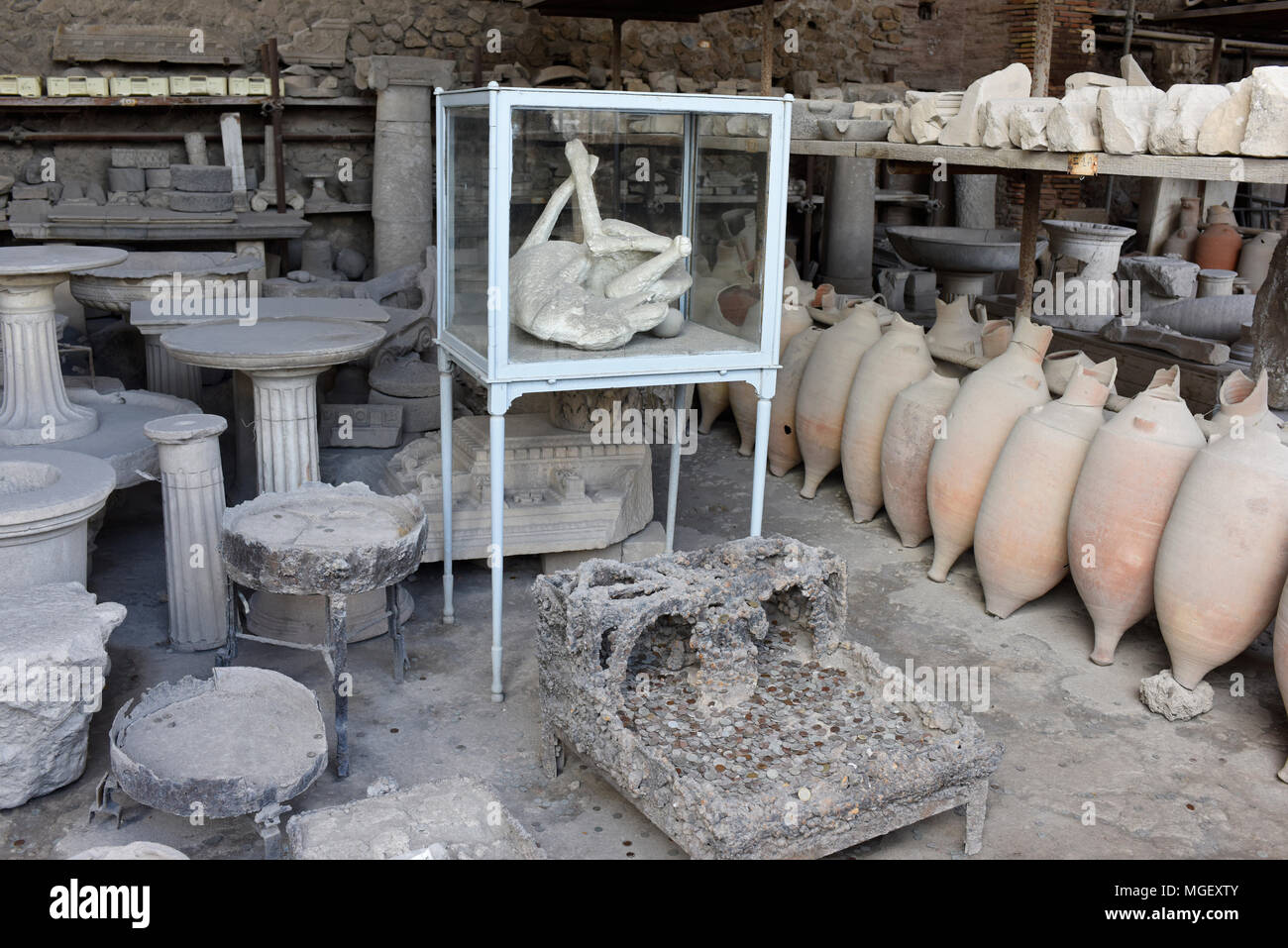 Calco in gesso di un cane dalla devastante eruzione vulcanica del Vesuvio nel 79 D.C., Pompei, vicino a Napoli, Italia Foto Stock