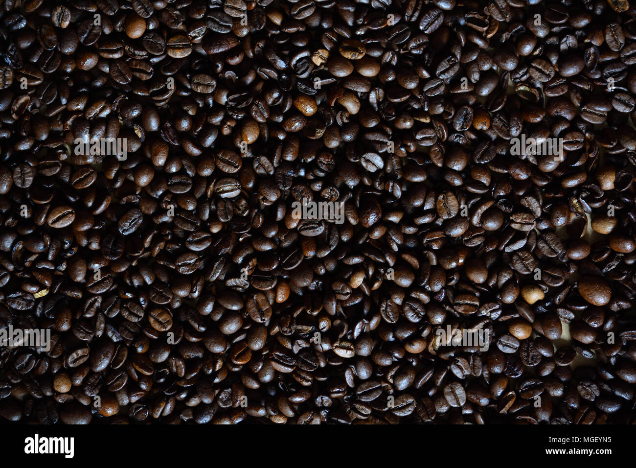 Appena tostato caffè oleosi Fave, versato per lo sfondo Foto Stock
