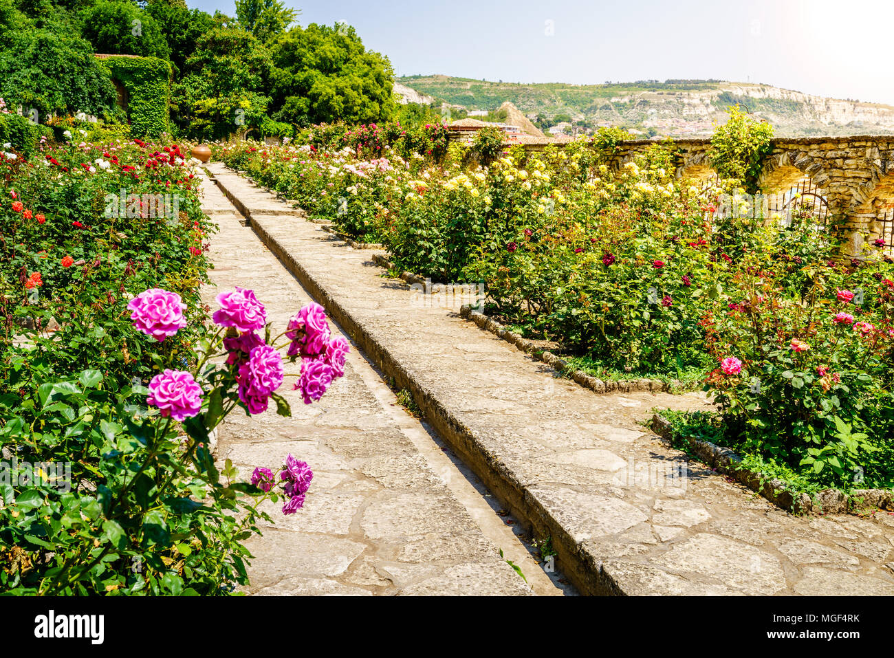 Rose in fiore nel giardino botanico di Balchik, Bulgaria Foto Stock