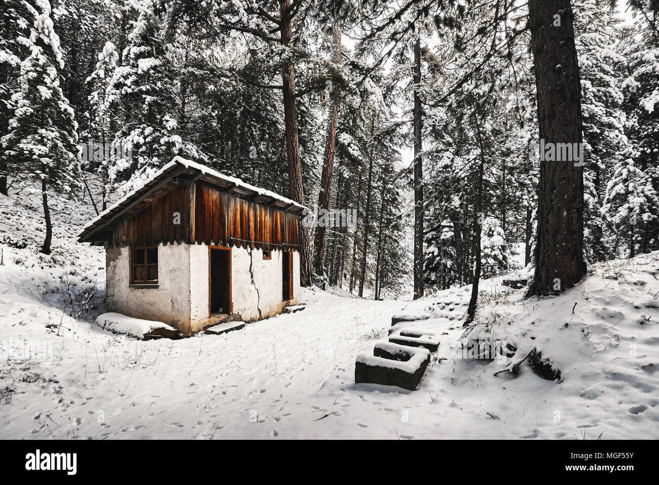 Cottage abbandonati in una foresta coperta di neve Foto Stock
