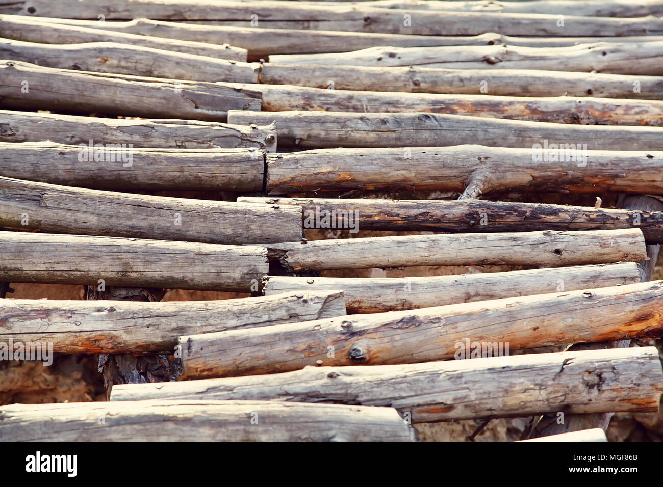 Tondo di Sfondo legno Foto Stock