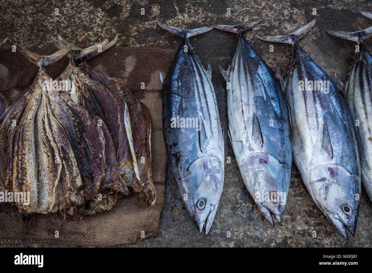 Mirissa, Sri Lanka. Il 27 febbraio, 2018. Pesci secchi e pesce fresco  pescato la linea il dock a Ceylon porti di pesca Corporation, porto di  pesca, in Mirissa, Sri Lanka, Martedì, 27