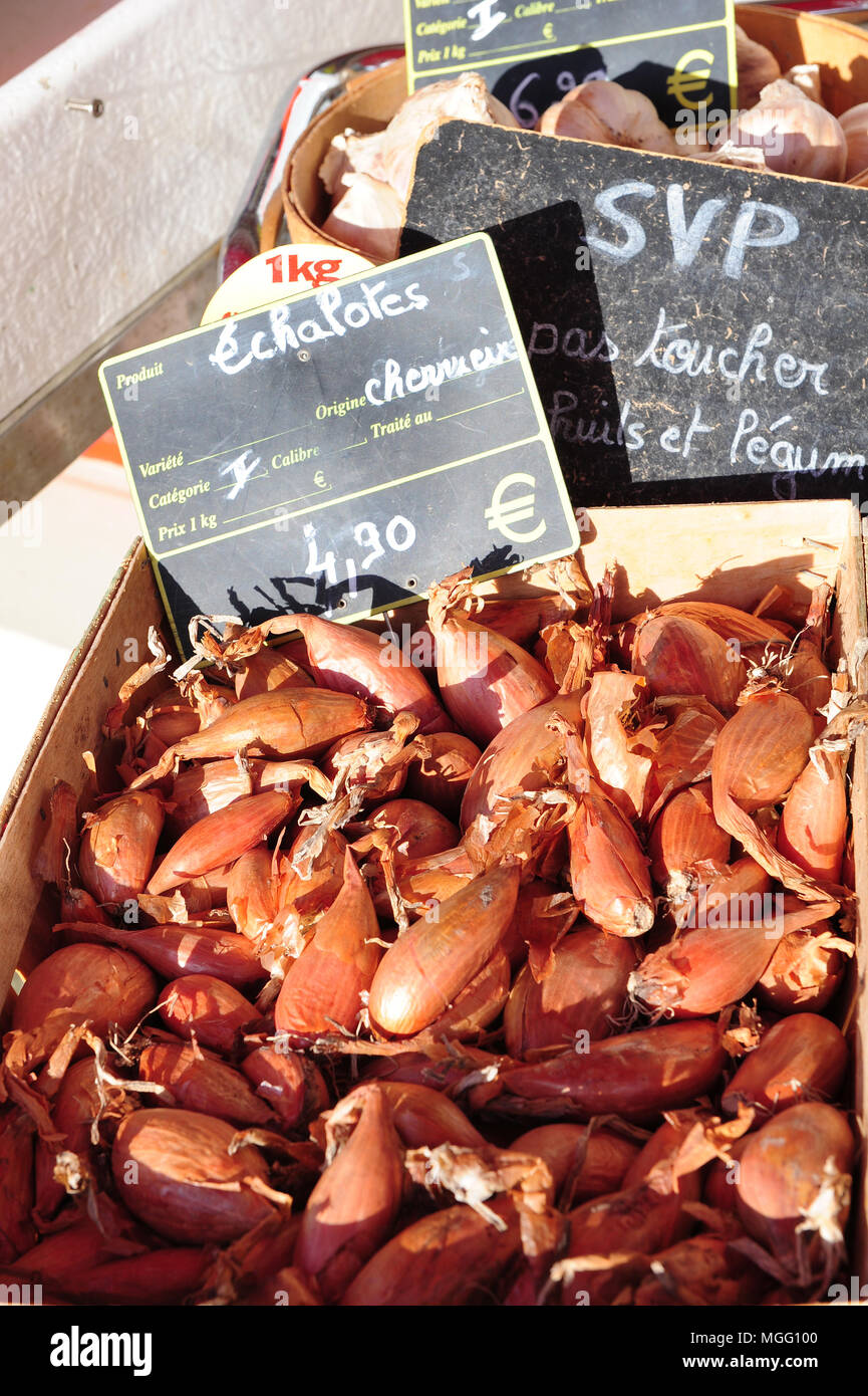 Cherrueix scalogni in vendita in un negozio locale nel villaggio di Cherrueix, Brittany. Foto Stock