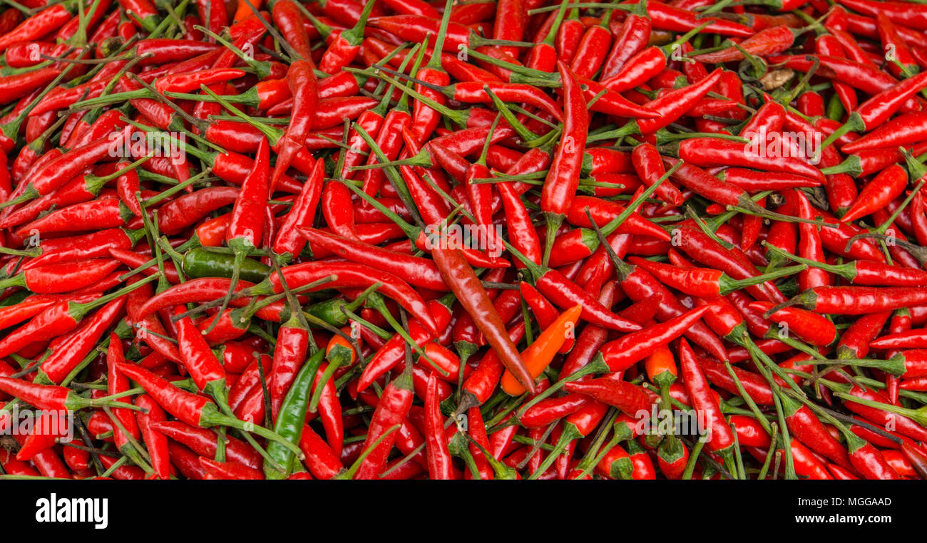 Luminose peperoncino rosso per la vendita nel mercato Foto Stock