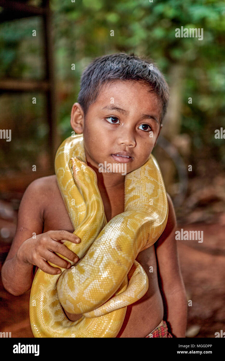 Ritratto di un giovane Palawano filippino ragazzo con il suo gatto giallo Albino Ball Python Python regius, avvolto intorno al suo corpo superiore in Palawan Eco Gard Foto Stock