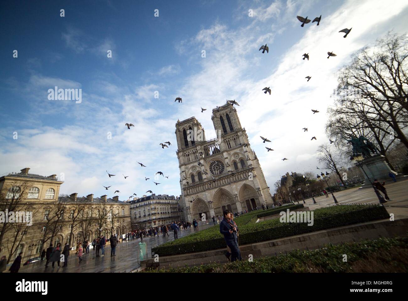 Piccioni volare oltre la cattedrale di Notre Dame a Parigi (Notre Dame de Paris) Foto Stock