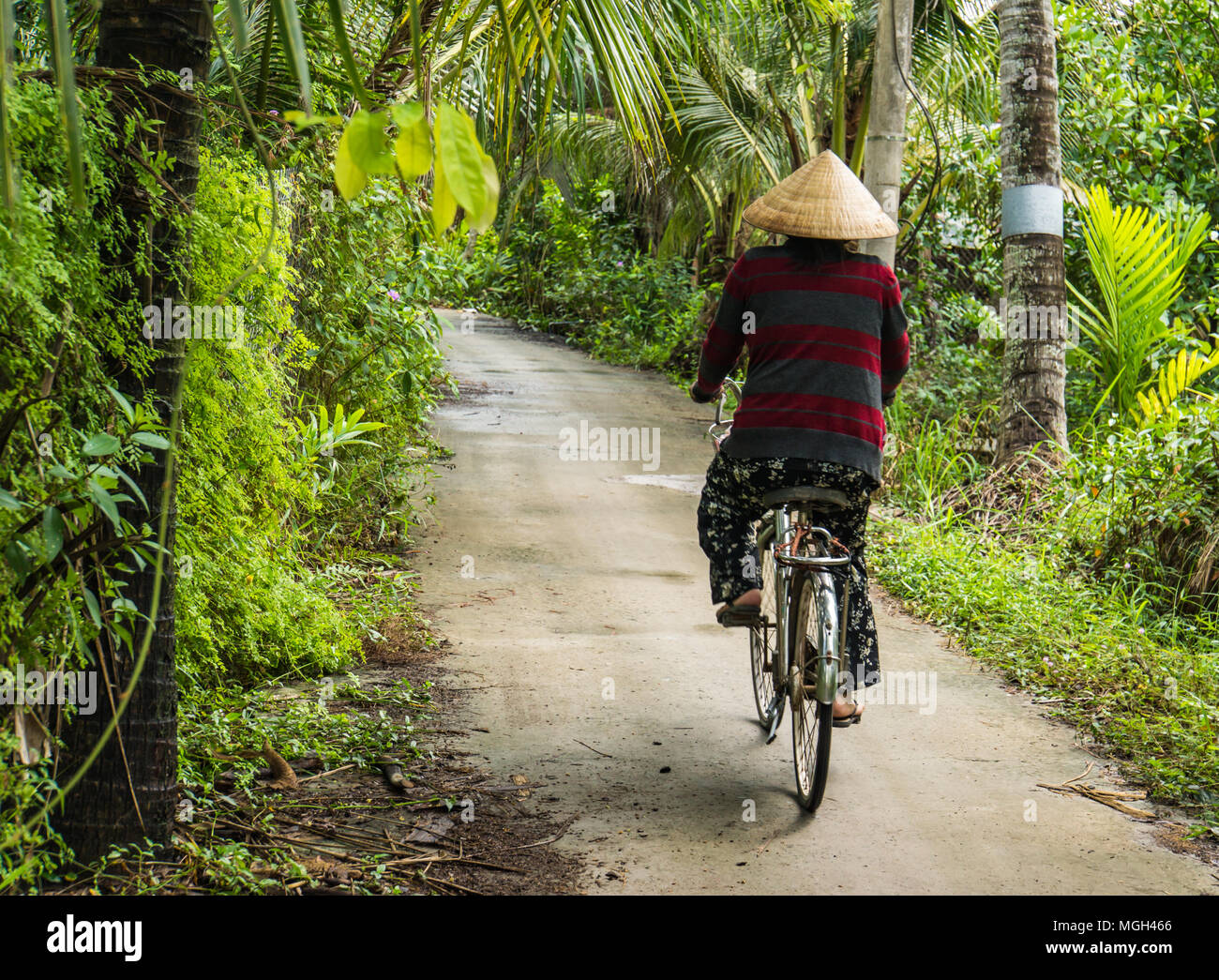 Vietnamita di equitazione donna la sua bici sul percorso nella regione del Delta del Mekong del Vietnam Foto Stock