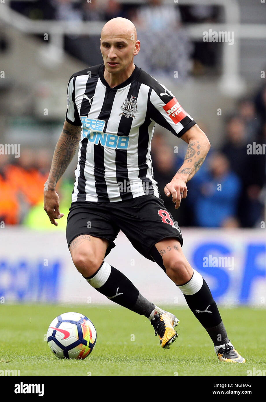 Newcastle United Shelvey Jonjo Foto Stock
