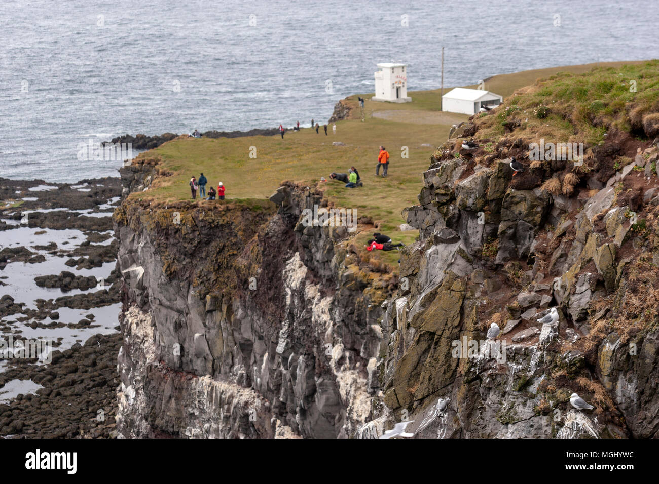 Gruppo di turisti fotografare in Látrabjarg scogliere con Atlantic i puffini in Bjargtangar, Westfjords, Islanda Foto Stock