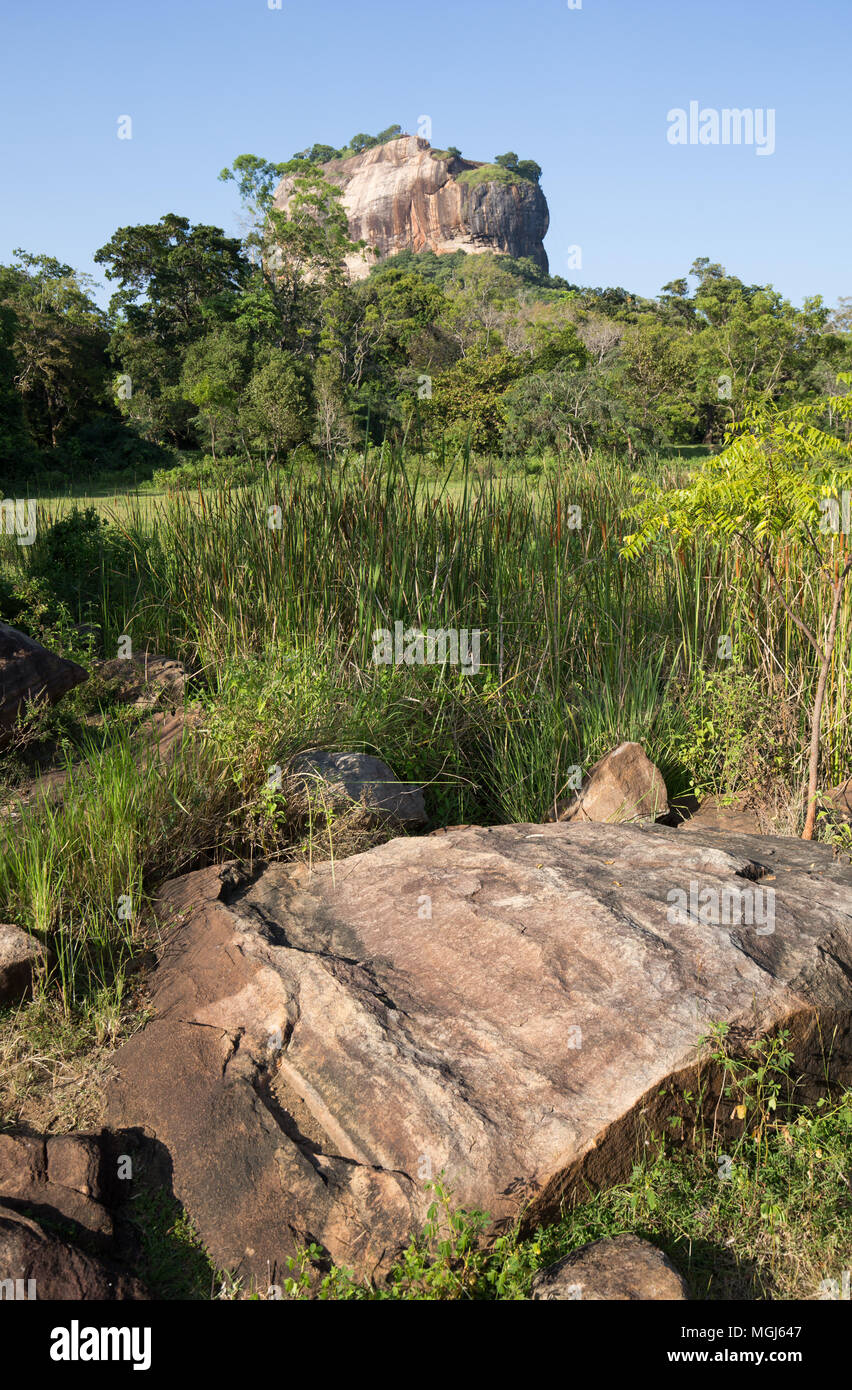 Vista di Sigiriya rock fortezza, provincia centrale, Sri Lanka, in Asia. Foto Stock