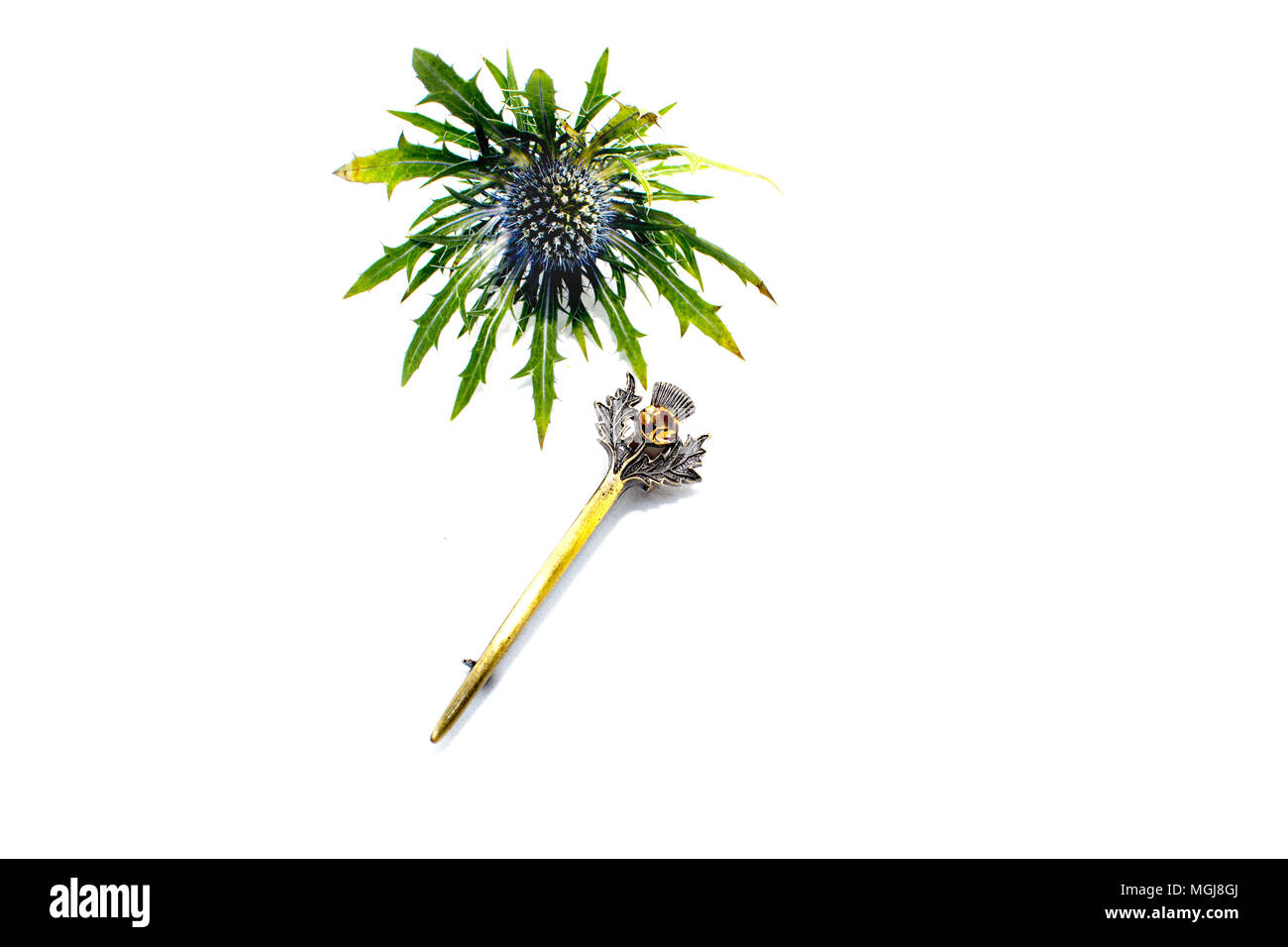 Una collezione di tradizionale e contemporaneo, Scottish accessori decorativi indossato tradizionalmente con Scottish Highland Dress Foto Stock