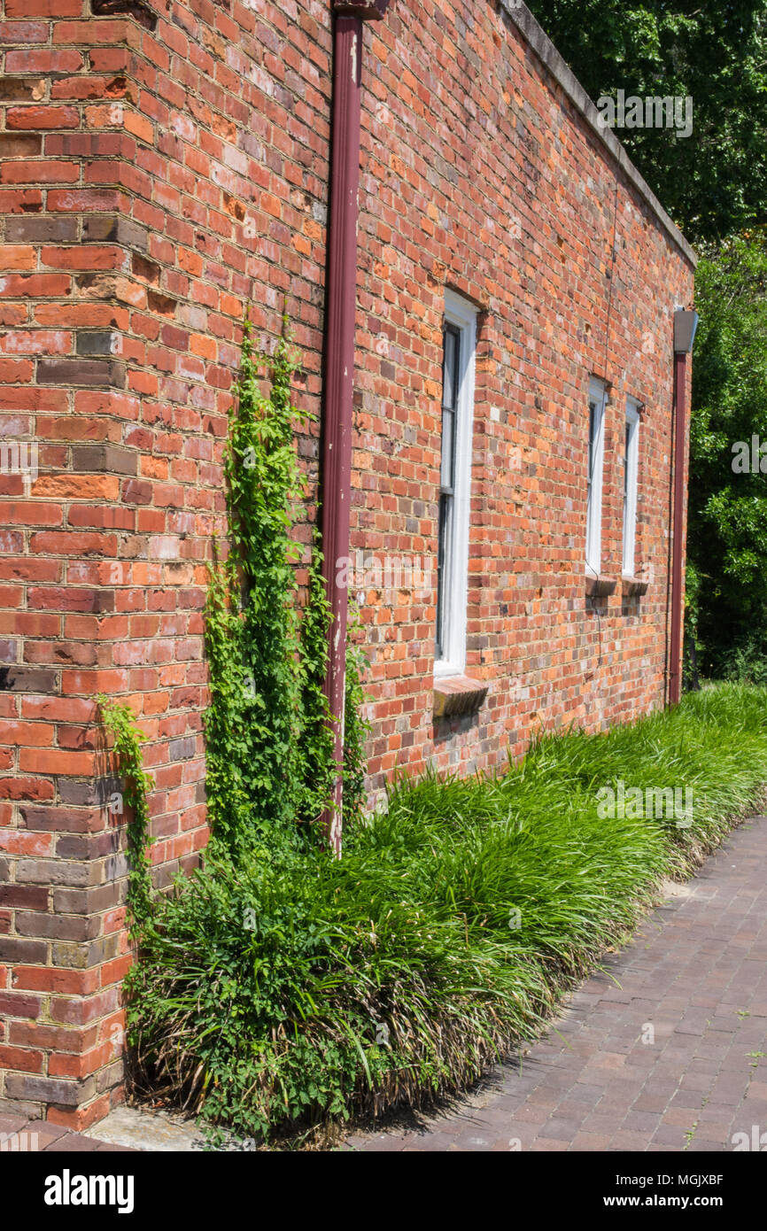 Edenton, North Carolina. Eastern North Carolina città piccola città del litorale, pieni di storia e di fascino. Foto Stock
