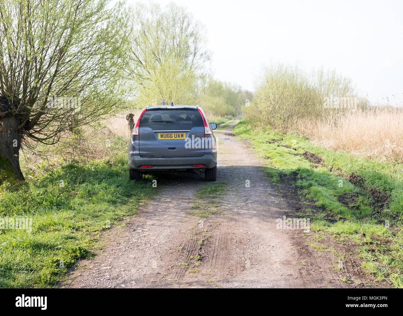 Aprile 2018 - SUV auto parcheggiate per ostruire Londra ha guidato il limitato By-Way road via sui livelli di Somerset, vicino Westhay. Foto Stock