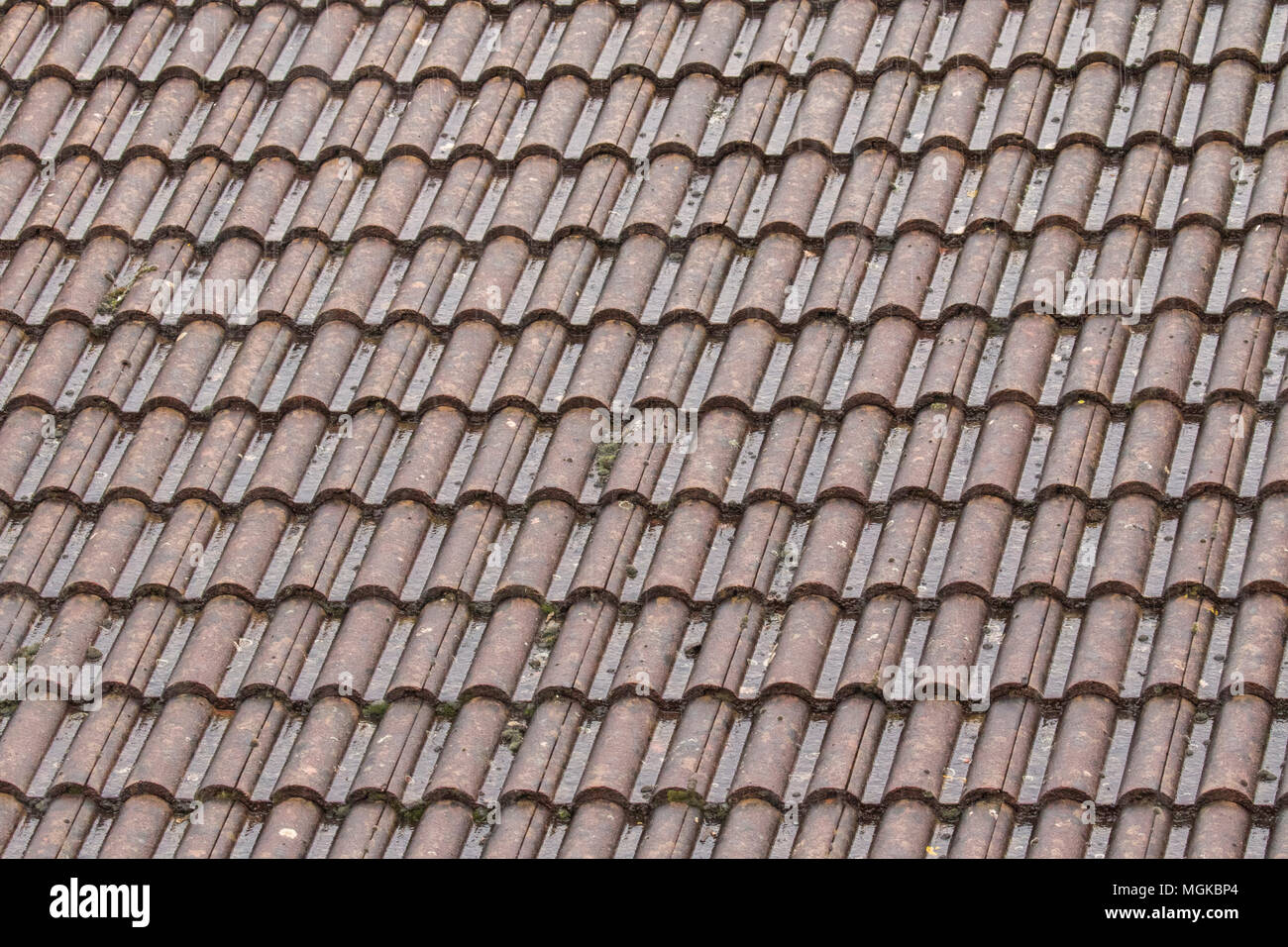 Tetto schemi di posa sotto la pioggia Foto Stock